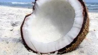 Ulei din nuca de cocos: 4 beneficii pentru un corp senzational