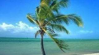 7 plaje absolut superbe in America
