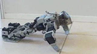 10 ani de proiecte IT si roboti