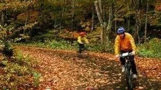 Recomandari pentru exercitiile fizice din timpul toamnei