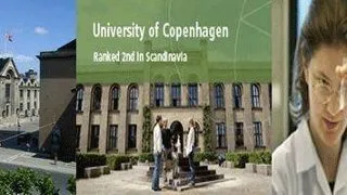 PhD scholarship related to voter turnout at the Department of Political Science
