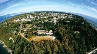 International PhD fellowships
