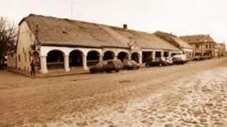 CASTELUL MISICI