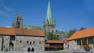 PhD positions related to marine polysaccharides and polysaccharide modifying enzymes