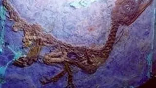 DE CE A MURIT DINO