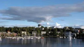 Bioenergy and Biorefineries in Forest Industry