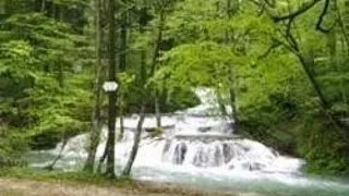 PARCUL NATIONAL CHEILE NEREI - BEUSNITA