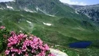 PARCUL NATIONAL MUNTII RODNEI