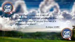 LSRS continua promovarea SMART Diaspora ca Strategie Nationala de Atragere in Romania a Tinerilor din Strainatate