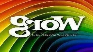 Tinerii internationali impreuna pentru gROw