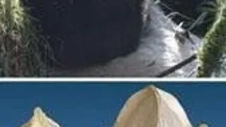 STRAMOSUL URSULUI PANDA