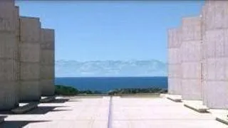 PhD student in cognitive neuroscience