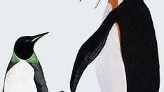 PINGUINI GIGANT AU VIETUIT PAMANTUL ACUM 30 DE MILIOANE DE ANI