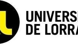 PhD offer in data replication
