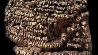 Cele mai vechi obiecte din lume gasite vreodata de arheologi