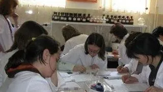 Scolile postliceale, asaltate de absolventii de liceu care n-au intrat la facultate