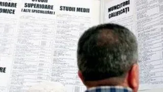 Programator, cea mai cautata meserie pentru absolventii de facultate