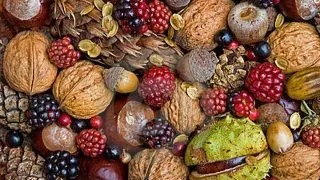 Slabeste usor cu 5 fructe si legume de toamna!