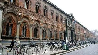Ph.D. Programme in Political Studies