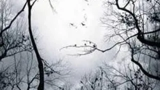 PREMONITIA - PREMONITION