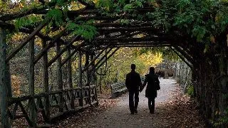 Geniile si obiceiurile lor zilnice. Inspira-te si tu!