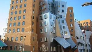 Cum se da admiterea la cea mai buna universitate din lume?