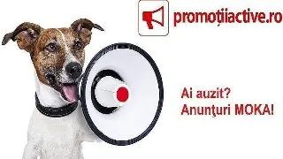 Promotiiactive.ro: O noua platforma de anunturi gratuite