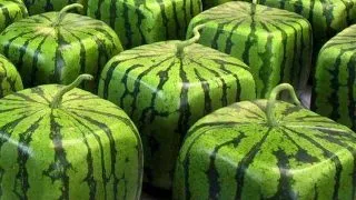 9 lucruri pe care nu le-ai stiut despre fructe!
