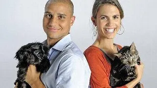 Iubitorii de pisici sunt mai inteligenti decat cei care prefera cainii, arata un nou studiu
