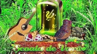Se apropie editia a VIII-a a Scolii de Vara Cognosis
