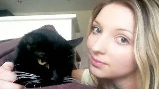 Britanicii isi abandoneaza pisicile negre pentru ca nu ies bine in selfie-uri!