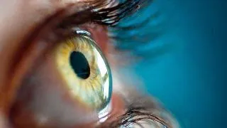 Modificarile retinei indica schimbarile care afecteaza creierul