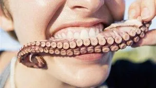 Cele mai respingatoare animale pe care oamenii le mananca de vii
