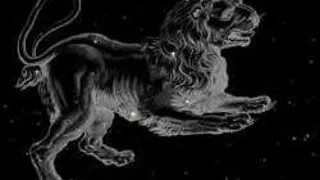 HOROSCOPUL ZILEI - LEU: 6 AUGUST 2007