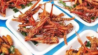 Iata de ce ar trebui sa mananci... insecte