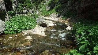 Travel: Viziteaza Pestera Cetatea Radesii, o pestera asemeni unei catedrale gotice