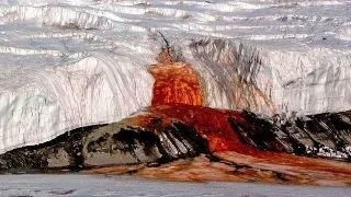 8 lucruri fascinante despre Antarctica