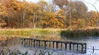 Travel: Viziteaza Parcul Natural Comana, un adevarat spectacol al naturii!