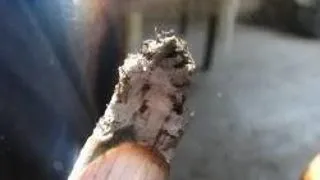 FUMATUL PASIV POATE CAUZA ORBIREA
