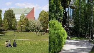 Doctoral student in automatic micro- and nanorobotic manipulation