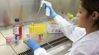 PhD Plant Science