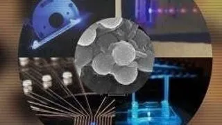 MASTERAT OPTIMIZAREA CONTROLULUI CHIMICO-ANALITIC SI ASIGURAREA CALITATII, UNIVERSITATEA BUCURESTI, FACULTATEA DE CHIMIE