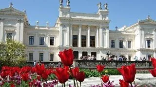 PhD Scholarship in Psychology