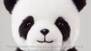 Google Panda - cea mai noua inventie Google!