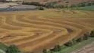 DOCTORAT FITOTEHNIE, FACULTATEA DE AGRICULTURA, UNIVERSITATEA DE STIINTE AGRICOLE SI MEDICINA VETERINARA CLUJ NAPOCA