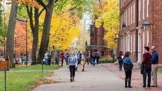 Si... cea mai buna universitate din lume este...
