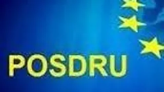 Progresul proiectului POSDRU/156/1.2/G/140627