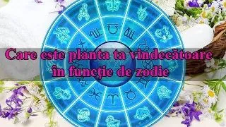Care este planta ta vindec?toare n func?ie de zodie