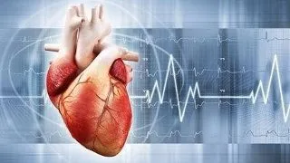 12 curiozitati despre inima pe care trebuie sa le afli