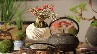 Japonezii au inventat bonsaiul care pluteste. Vezi cum arata!